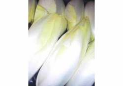 Endives