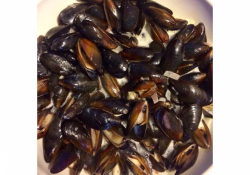 Moule