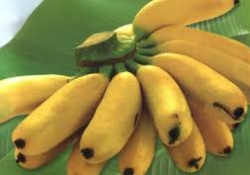 les petites bananes