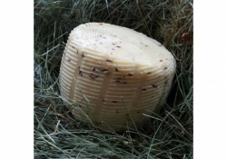 Fromage de chèvre Frais