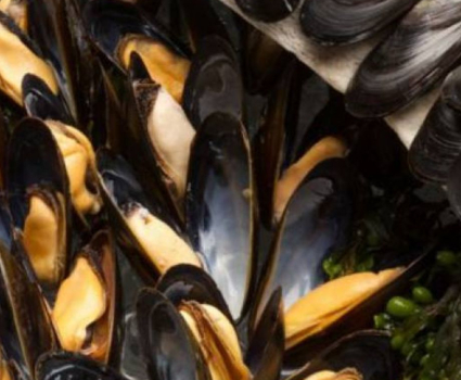 Moules