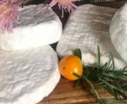 Brie de Chèvre